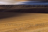 Arable Prairie Wheat Crop After Harvest Herts UK (EAJ009019)