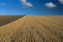 Autumn Ploughing Baldock Hertfordshire (EAJ009021)