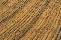 Wheat Stubble Patterns Ivinghoe Hills Bucks UK Jul (EAJ009027)
