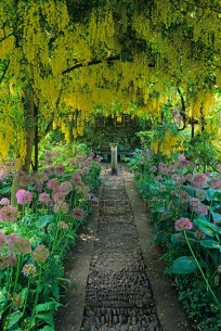Laburnum Arch & Flower Beds Barnsley House Garden (EAJ010285)