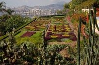 Carpet bedding Botanic gardens at Funchal Maderia (EAJ009315)