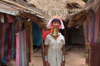 Long-necked Women of Padaung tribe Thailand (EAJ009153)