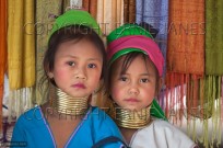 Long-necked Women of Padaung tribe Thailand (EAJ009154)
