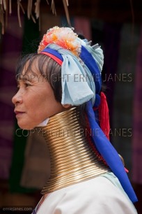 Long-necked Women of Padaung tribe Thailand (EAJ009155)