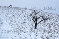 Pitstone Hill on Ridgeway Path Bucks in snow (EAJ009943)