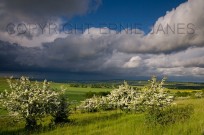 Stormy Weather Over Chiltern Downland Ivinghoe (EAJ009932)